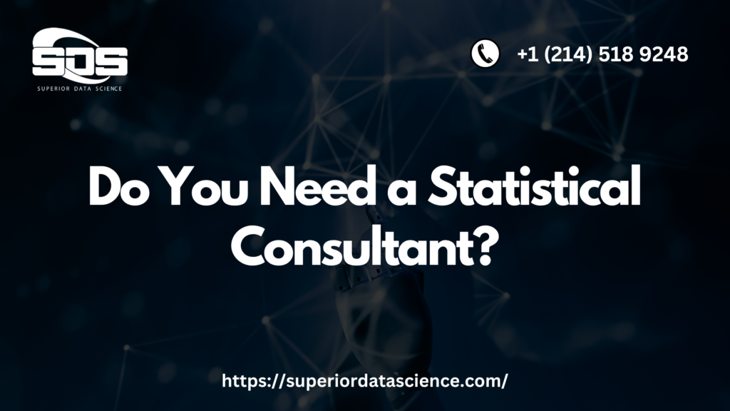 Do You Need a Statistical Consultant?