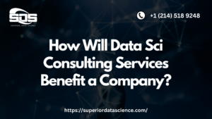How Will Data Sci Consulting Services Benefit a Company?